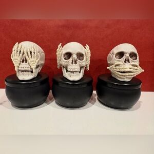 Decorative Skull Trio on Black Bases